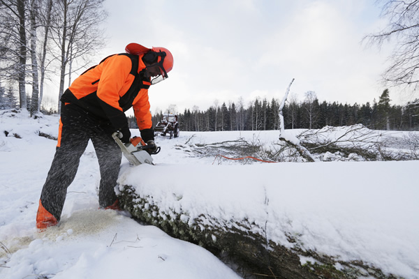 commercial tree work
